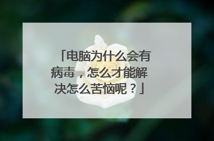 电脑为什么会有病毒,怎么才能解决怎么苦恼呢?