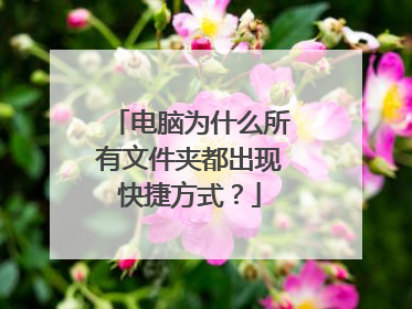 电脑为什么所有文件夹都出现快捷方式？