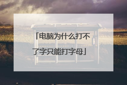 电脑为什么打不了字只能打字母