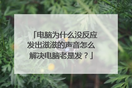 电脑为什么没反应发出滋滋的声音怎么解决电脑老是发?