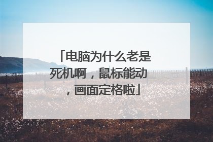 电脑为什么老是死机啊，鼠标能动，画面定格啦