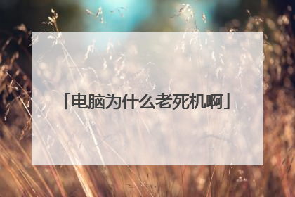 电脑为什么老死机啊