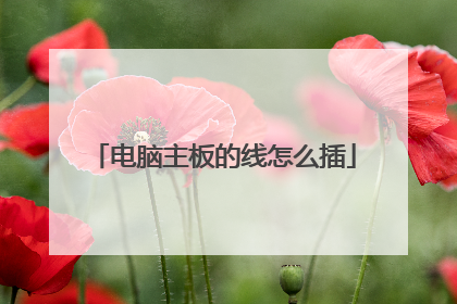 电脑主板的线怎么插
