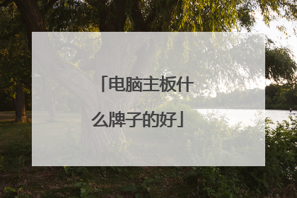 电脑主板什么牌子的好