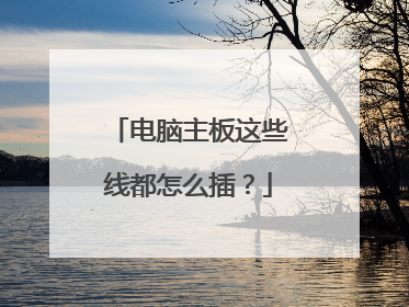 电脑主板这些线都怎么插?