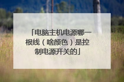 电脑主机电源哪一根线(啥颜色)是控制电源开关的