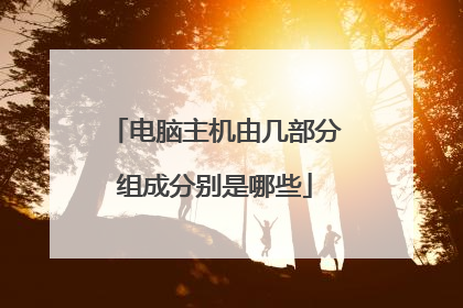 电脑主机由几部分组成分别是哪些