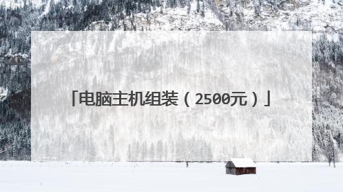电脑主机组装（2500元）