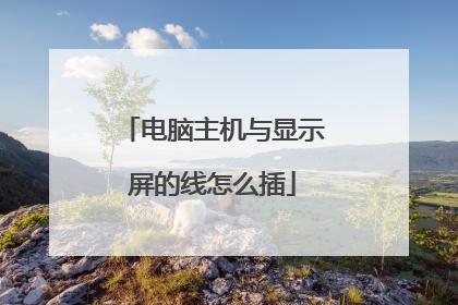 电脑主机与显示屏的线怎么插