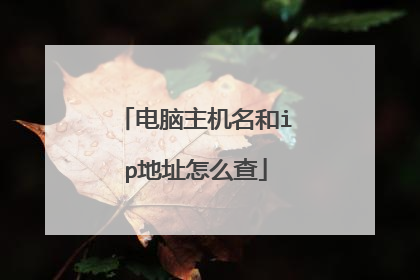 电脑主机名和ip地址怎么查