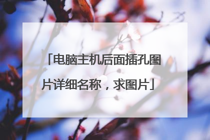 电脑主机后面插孔图片详细名称,求图片