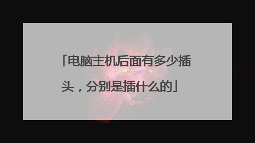 电脑主机后面有多少插头,分别是插什么的