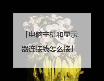 电脑主机和显示器连接线怎么接