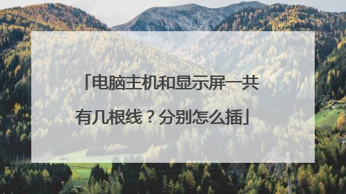 电脑主机和显示屏一共有几根线？分别怎么插