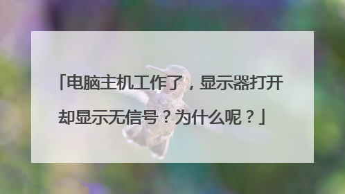 电脑主机工作了，显示器打开却显示无信号？为什么呢？