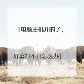 电脑主机开的了,屏幕打不开怎么办