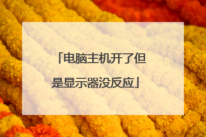 电脑主机开了但是显示器没反应