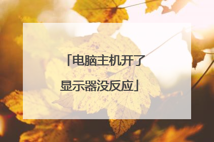 电脑主机开了显示器没反应