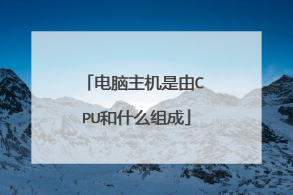 电脑主机是由CPU和什么组成