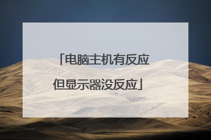 电脑主机有反应但显示器没反应