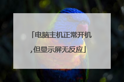 电脑主机正常开机,但显示屏无反应