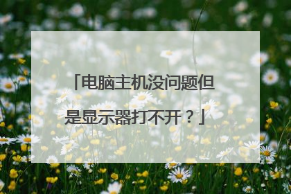 电脑主机没问题但是显示器打不开?