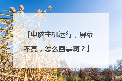 电脑主机运行,屏幕不亮,怎么回事啊?