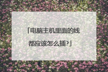 电脑主机里面的线都应该怎么插?