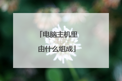 电脑主机里 由什么组成