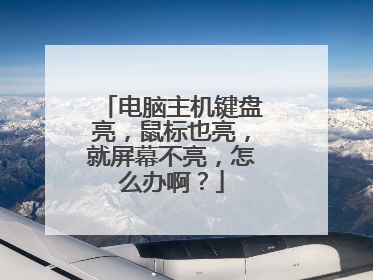 电脑主机键盘亮,鼠标也亮,就屏幕不亮,怎么办啊?