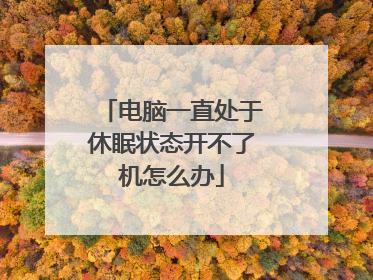 电脑一直处于休眠状态开不了机怎么办