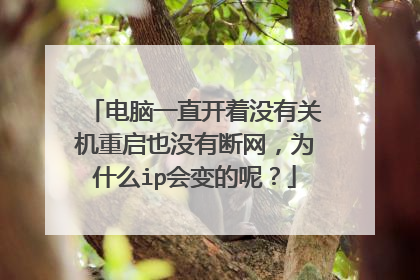 电脑一直开着没有关机重启也没有断网,为什么ip会变的呢?