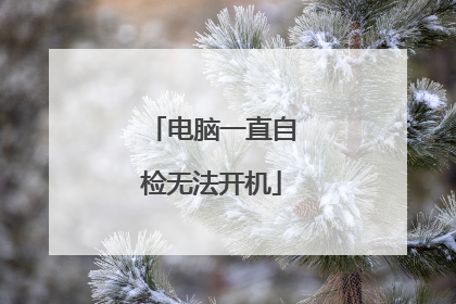 电脑一直自检无法开机