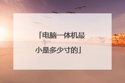 电脑一体机最小是多少寸的
