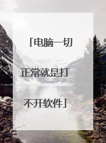 电脑一切正常就是打不开软件