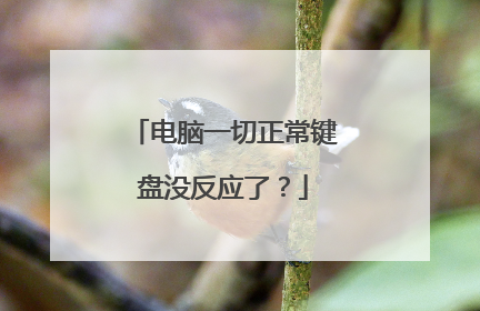 电脑一切正常键盘没反应了?