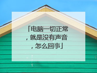电脑一切正常,就是没有声音,怎么回事