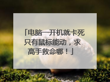 电脑一开机就卡死 只有鼠标能动,求高手救命哪!