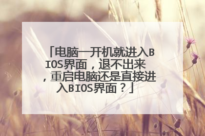 电脑一开机就进入BIOS界面，退不出来，重启电脑还是直接进入BIOS界面？