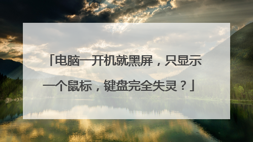 电脑一开机就黑屏，只显示一个鼠标，键盘完全失灵？
