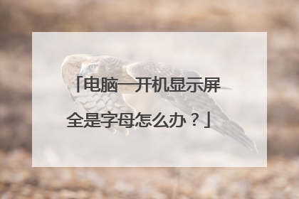 电脑一开机显示屏全是字母怎么办?