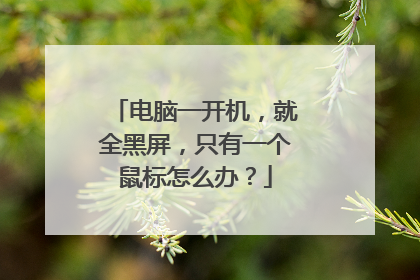 电脑一开机，就全黑屏，只有一个鼠标怎么办？