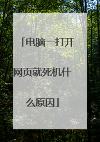 电脑一打开网页就死机什么原因