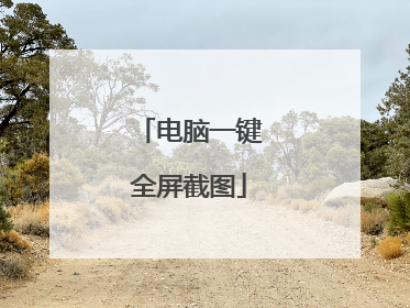 电脑一键全屏截图