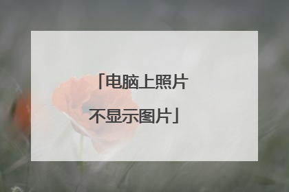 电脑上照片不显示图片