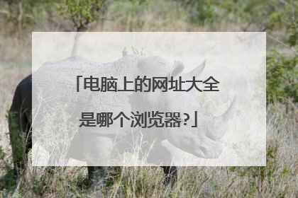 电脑上的网址大全是哪个浏览器?