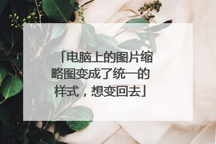 电脑上的图片缩略图变成了统一的样式,想变回去