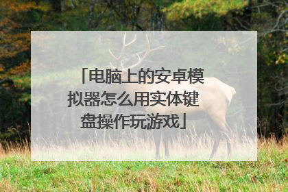 电脑上的安卓模拟器怎么用实体键盘操作玩游戏