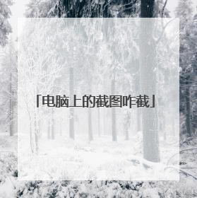 电脑上的截图咋截