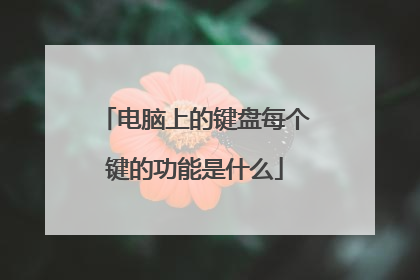 电脑上的键盘每个键的功能是什么
